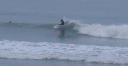 121017pm-eagle1 (6).jpg